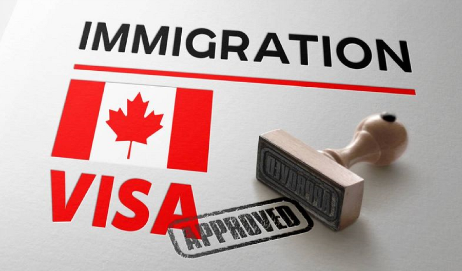 How To Apply For Canada Work Permit In 2024 7627