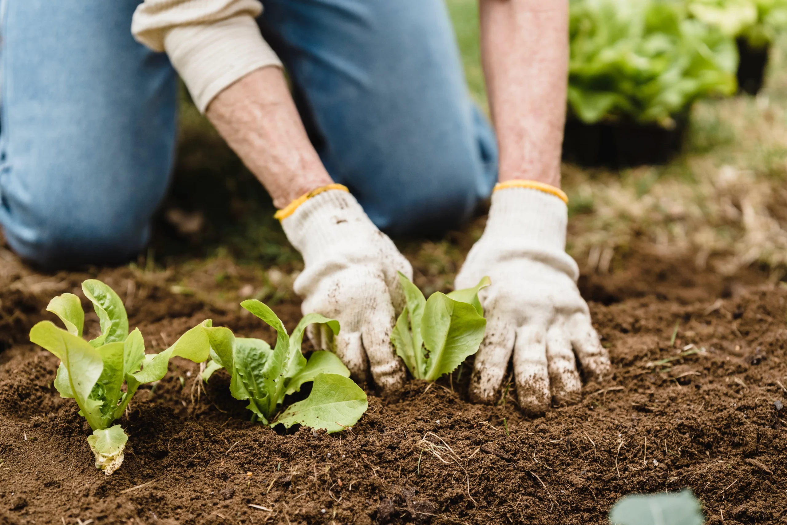 Best Province for Farm Jobs in Canada 2024